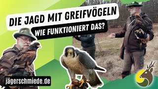 Die Falknerei und Beizjagd  Mach dich fit für die Jagdprüfung Praktischer Jagdbetrieb [upl. by Niltyak]