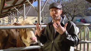 Doku Newton  Die Sprache der Tiere HD [upl. by Gus]