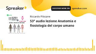 53° audio lezione Anatomia e fiosiologia del corpo umano [upl. by Zina69]