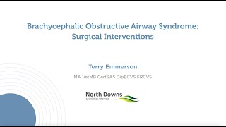 Brachycephalic Obstructive Airway Syndrome Surgical Interventions [upl. by Amleht611]