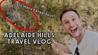 TRAVEL VLOG Adelaide Hills  Jurlique Farm amp Mount Lofty  Day 1 [upl. by Lavro]