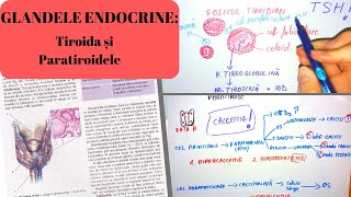 ADMITERE MEDICINA GLANDELE ENDOCRINE 5 Tiroida si paratiroidele [upl. by Lacie409]