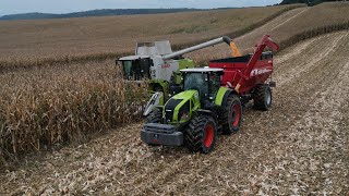 Kukurydza na ziarno GR Skolarus 🌽 Claas Tucano 570 Claas Axion 960 [upl. by Yssac]