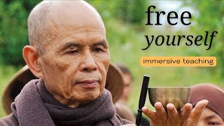 Free Yourself extended version  Teaching by Thich Nhat Hanh [upl. by Fairweather]