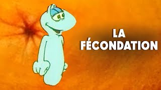 Le bonheur de la vie  La fécondation  Dès 6 ans  Dessin Animé Educatif 🌙 [upl. by Maureen]