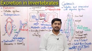 Excretion in Planaria Earthworm and Cockroach class 12  Excretion in Invertebrates [upl. by Nnylaf231]