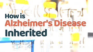 How is Alzheimers Disease Inherited  Inheritance of Sporadic and Familial AD  Presenilin gene [upl. by Analle]