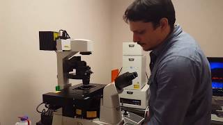 Confocal Microscopy Tutorial Part 1 Getting Started  Basic Operation [upl. by Onahpets]