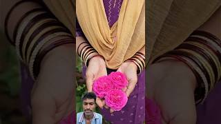 Paneerrosesharvestingపనీర్గులాబీలుrosesmygardenharvestinggardeningshortvideoytshorts [upl. by Soraya]