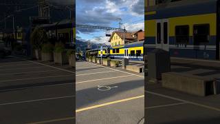 Train spotting at Wilderswil Switzerland travel swissbeauty train trainspotting trainlover [upl. by Nileek]