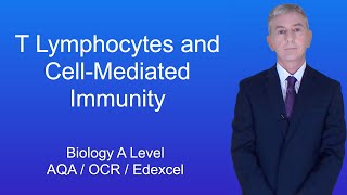 A Level Biology Revision quotT Lymphocytes and CellMediated Immunityquot [upl. by Efinnej]