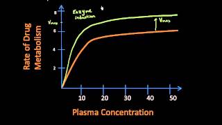 Enzyme Induction  Pharmacokinetics Lect 16 [upl. by Ynffit]