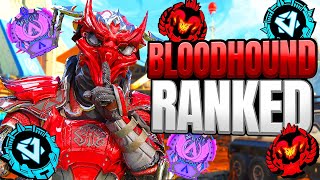 High Level Bloodhound Ranked Gameplay  Apex Legends [upl. by Atinele]