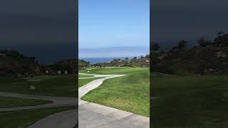 Torrey Pines CA [upl. by Edee]