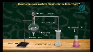 How to prepare carbon dioxide in the laboratory [upl. by Friend]