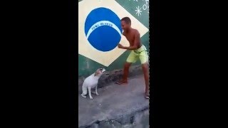 ASOMBROSO Perro Bailando Samba En Brasil Wao  Amazing Dog Dancing In Brazil  Argenis Fels [upl. by Scrivenor251]