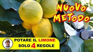 POTARE IL LIMONE SOLO 4 REGOLE [upl. by Nnylirret]