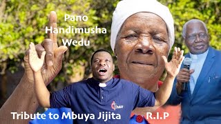 Pano Handimusha Wedu  Special tribute to Mbuya Jijita RIP [upl. by Alleram]