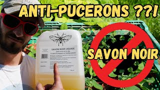 TRAITEMENT BIO CONTRE les PUCERONS SAVON NOIR [upl. by Marlene350]