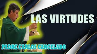 Las Virtudes Padre Cancelado 1a pte [upl. by Seline188]