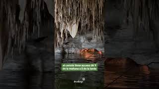 Este cenote es uno de las más recientes descubrimientos en Homún cenotes cenotesyucatán yucatán [upl. by Remat]