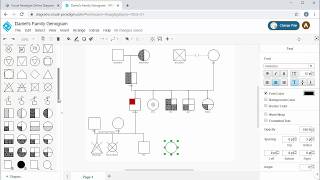 Create Genogram Online [upl. by Sucerdor457]