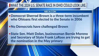 What the 2024 US Senate race in Ohio could look like [upl. by Nanoc]