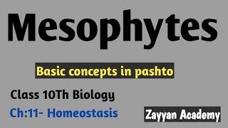 Osmoregulation in Plants Mesophytes Class 10th Biology pashto lecture [upl. by Yetsirhc]