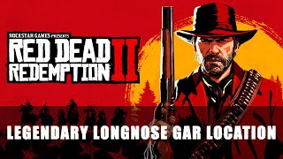 Red Dead Redemption 2 Legendary Longnose Gar Location [upl. by Ennoira]