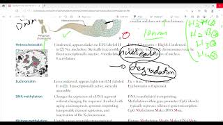 Organization of DNA and chromatin structure  Molecular biology BiochemistryFirst Aid LectureLec4 [upl. by Anomer84]