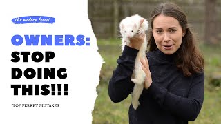 Mistakes New Ferret Owners Make  UPDATED Top 10 List [upl. by Senalda45]