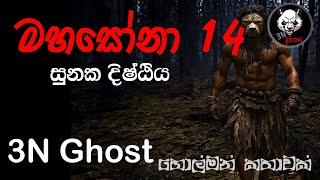 මහසෝනා 14  සත්‍ය හොල්මන් කතාවක්  3NGhost  Sinhala holman katha  ghost story 312 [upl. by Lamaaj]