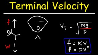 Terminal Velocity [upl. by Lupiv733]