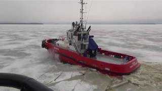 Damen Ice Class Tugs [upl. by Meter]