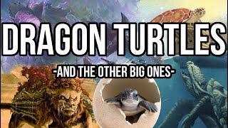 World Lion and Dragon Turtles Are Awesome [upl. by Tyne]