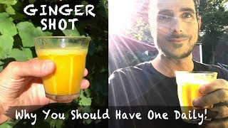 Ginger Shot Why You Should Have One Daily [upl. by Lledyr]