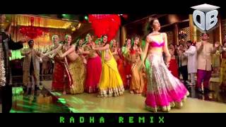 Radha  Remix  DRESH amp VNESH 2013 [upl. by Gona]