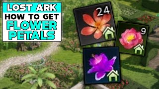 LOST ARK How To Get FLOWER PETALS [upl. by Stich]