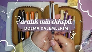 🖋️Mürekkepli Dolma Kalemlerim 5  Currently İnked Fountain Pens [upl. by Kelula934]