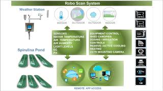 Automatic Spirulina Growing System [upl. by Aniteb]