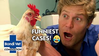 Bondi Vets Funniest Cases 😂  Compilation  Bondi Vet [upl. by Gona]