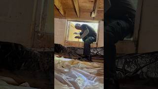 Uh oh‼️🕷️Plumbing in a crawl space🕷️plumbing plumber ThankGod4Plumbing [upl. by Waterer]