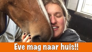 YESSSS Eve mag naar huis  Winnaars winacties  PaardenpraatTV [upl. by Maillij47]