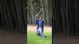 Samurai Nito Ryu Niten Ichi Ryu samurai martialarts japanesemartialarts shorts shortvideo [upl. by Ainavi]