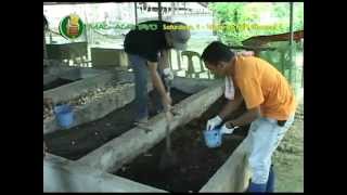 Demo on Vermicomposting amp Vermiculture courtesy of Dr Ed Lalas DAQAES [upl. by Esertak]