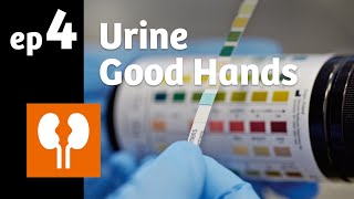 Ep 4 Urine it’s like a clinical compass [upl. by Ahsram]