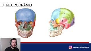 Anatomia dos ossos da cabeça [upl. by Enovaj888]