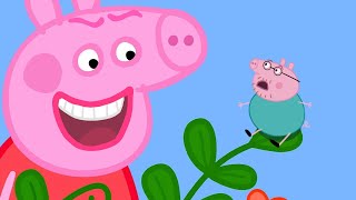 PEPPA PIG TRY NOT TO LAUGH [upl. by Mitchell]