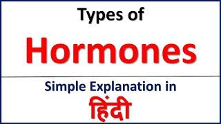 Types of Hormones  Endocrine System in Hindi  Bhushan Science [upl. by Rubetta506]