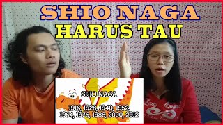 SHIO NAGA HARUS TAU TERNYATA BRGINI KARAKTER DAN KEPRIBADIAN SHIO NAGA [upl. by Ainerol]